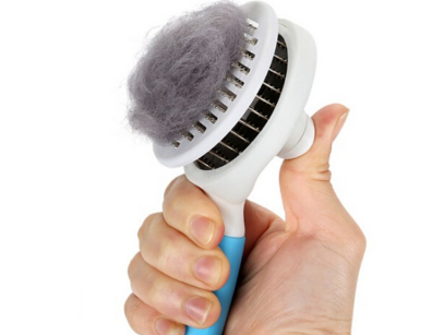 猫咪梳有什么好处 如何正确给猫咪梳毛 猫咪梳有什么好处 如何正确给猫咪梳毛