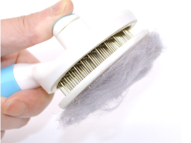 猫咪梳有什么好处 如何正确给猫咪梳毛 猫咪梳有什么好处 如何正确给猫咪梳毛