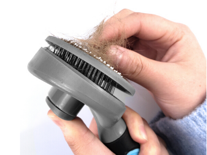 猫咪梳有什么好处 如何正确给猫咪梳毛 猫咪梳有什么好处 如何正确给猫咪梳毛