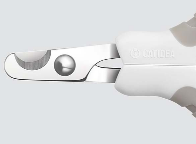 猫指甲剪如何选购 猫指甲剪流血了怎么办 猫指甲剪如何选购 猫指甲剪流血了怎么办