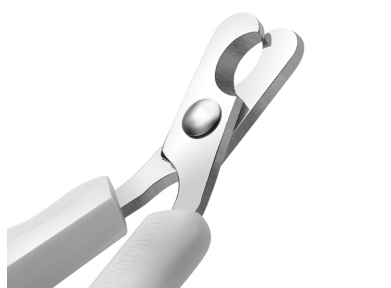 猫指甲剪如何选购 猫指甲剪流血了怎么办 猫指甲剪如何选购 猫指甲剪流血了怎么办