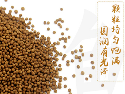 鱼粮如何选购 教你自制鱼粮的方法 鱼粮如何选购 教你自制鱼粮的方法