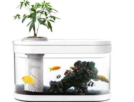水族箱如何选购 水族箱造景的几种常见类型