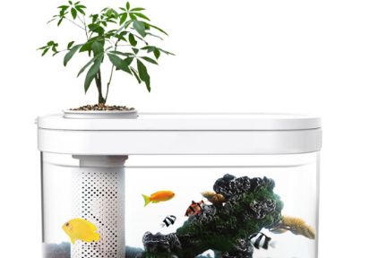 水族箱如何选购 水族箱造景的几种常见类型-1