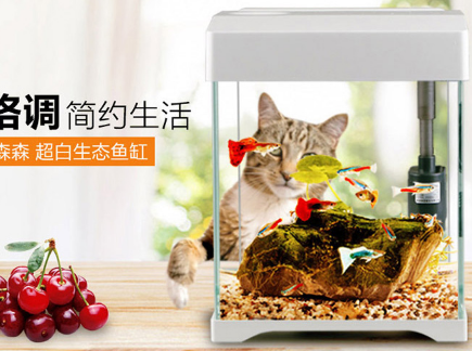 水族箱如何选购 水族箱造景的几种常见类型 水族箱如何选购 水族箱造景的几种常见类型