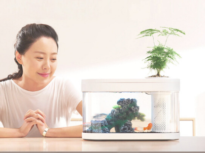 水族箱如何选购 水族箱造景的几种常见类型 水族箱如何选购 水族箱造景的几种常见类型