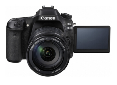 什么是单反相机 单反相机和数码相机以及微单的区别 什么是单反相机 单反相机和数码相机以及微单的区别