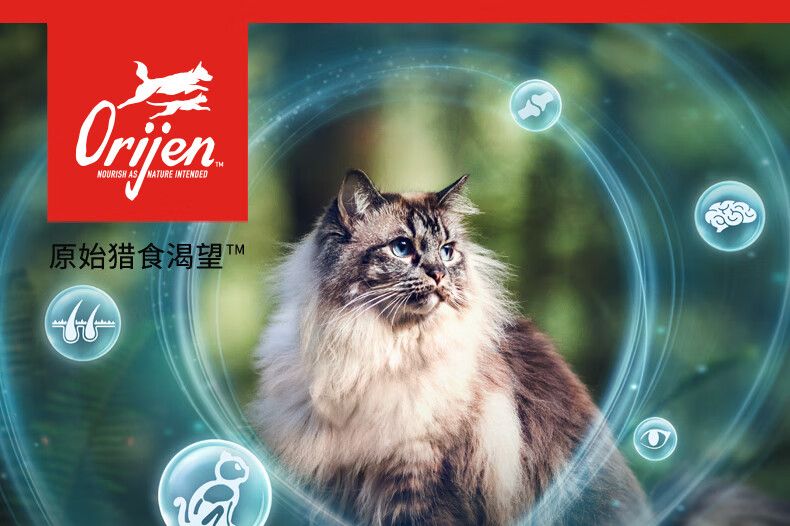 渴望八重守护猫粮怎么样？渴望猫粮和皇家猫粮哪个好-1