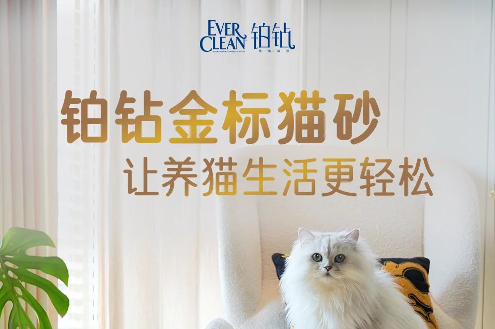 铂钻猫砂哪个标最好？铂钻蓝标和金标哪个好-1