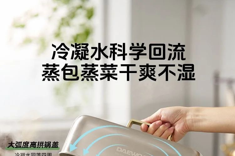 不锈钢电蒸锅哪个牌子最好用最安全？大宇和凯度电蒸锅哪个好用-1