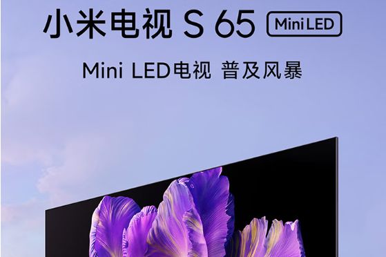 小米s65miniled建议买吗？小米s65miniled电视怎么样-1