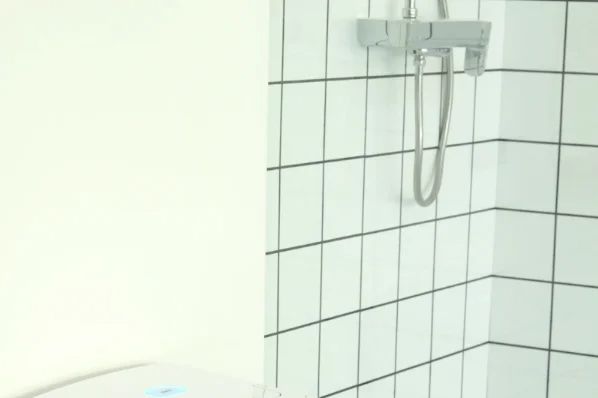 伊奈智能马桶怎么样？伊奈马桶和toto哪个好-1