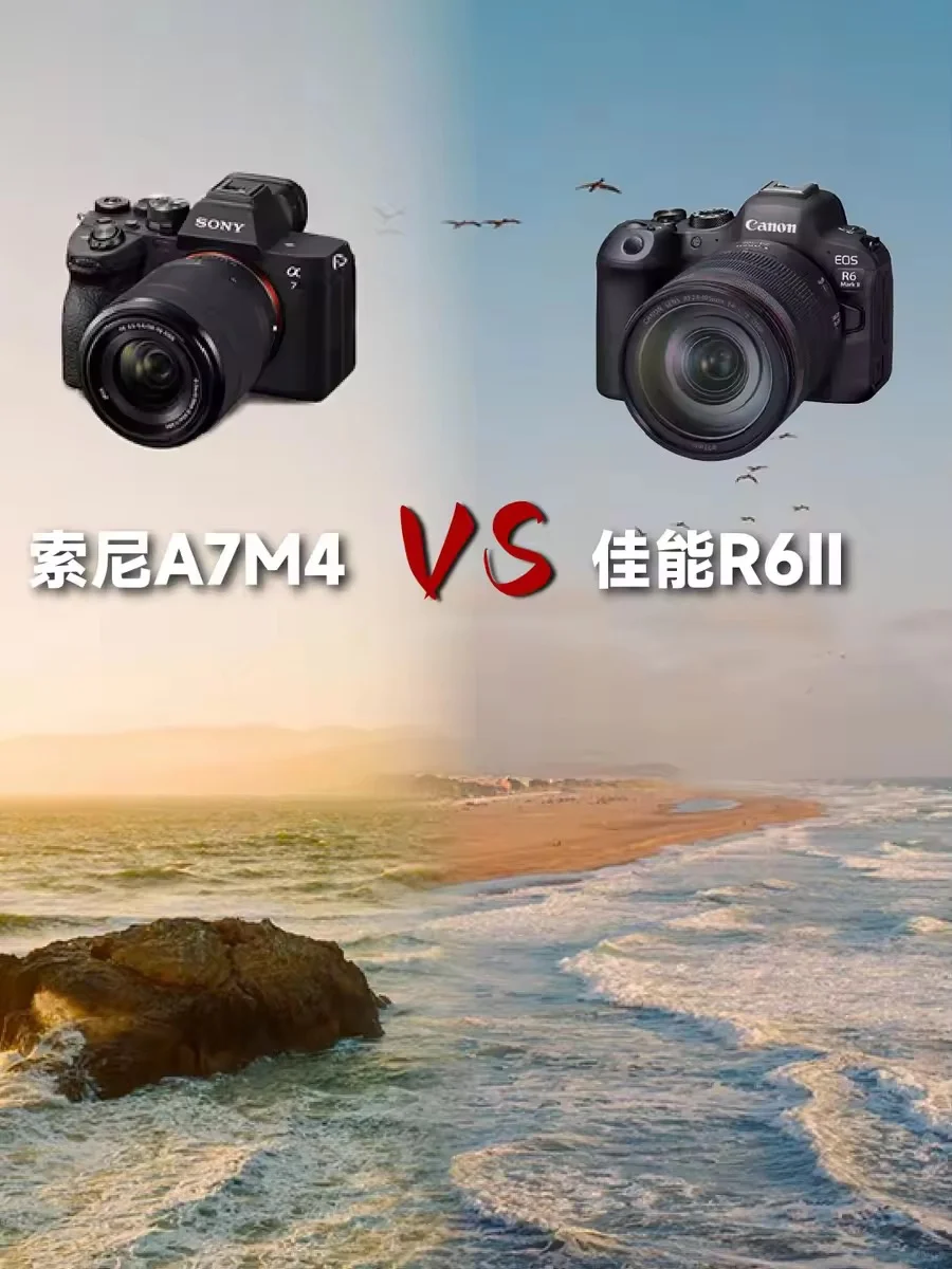 佳能r62和索尼a7m4拍旅游哪个好？佳能r62和索尼a7m4画质对比