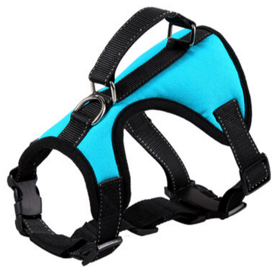 好像有奇怪的东西混进来了……（@冷姿君）