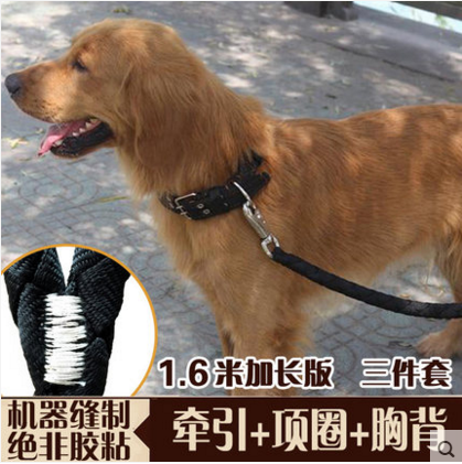 9月1号的幼儿园门口