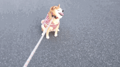 9月1号的幼儿园门口