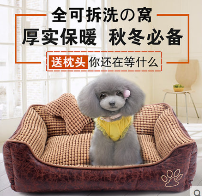 走开，这个床是我的！