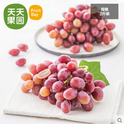 主人主人，送给你吃
