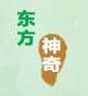 dongfangshenqi是什么牌子_东方神奇品牌怎么样?