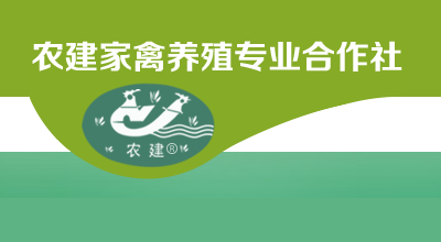 农建是什么牌子_农建品牌怎么样?