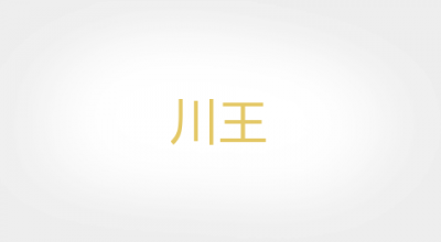 川王是什么牌子_川王品牌怎么样?