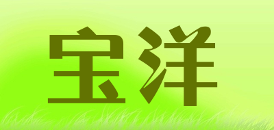 宝洋是什么牌子_宝洋品牌怎么样?