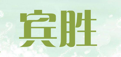 BINSHENG是什么牌子_宾胜品牌怎么样?