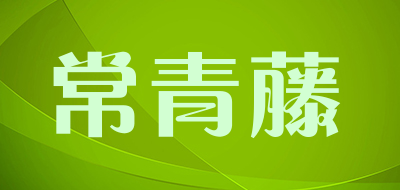 常青藤是什么牌子_常青藤品牌怎么样?