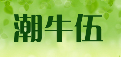 CN.WU是什么牌子_潮牛伍品牌怎么样?