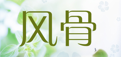 VIGOURCASA是什么牌子_风骨品牌怎么样?