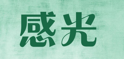 感光是什么牌子_感光品牌怎么样?