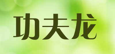 功夫龙是什么牌子_功夫龙品牌怎么样?