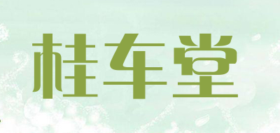 桂车堂是什么牌子_桂车堂品牌怎么样?
