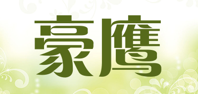 豪鹰是什么牌子_豪鹰品牌怎么样?