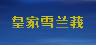 ROYAL SELANGOR是什么牌子_皇家雪兰莪品牌怎么样?