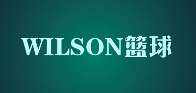 WILSON篮球是什么牌子_WILSON篮球品牌怎么样?