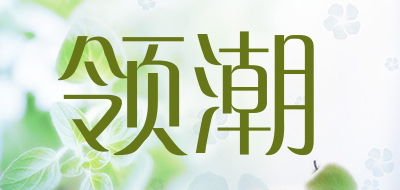 领潮是什么牌子_领潮品牌怎么样?