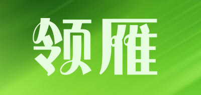 领雁是什么牌子_领雁品牌怎么样?
