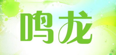 鸣龙是什么牌子_鸣龙品牌怎么样?