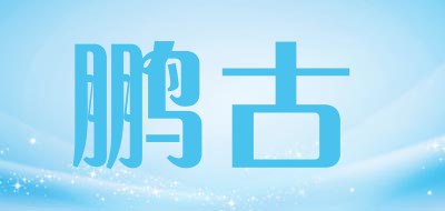 鹏古是什么牌子_鹏古品牌怎么样?