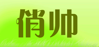 俏帅是什么牌子_俏帅品牌怎么样?