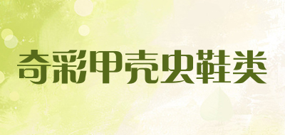 奇彩甲壳虫鞋类是什么牌子_奇彩甲壳虫鞋类品牌怎么样?