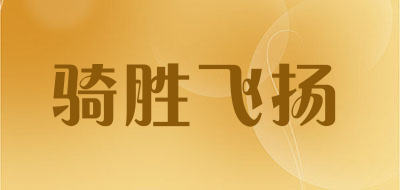 骑胜飞扬是什么牌子_骑胜飞扬品牌怎么样?