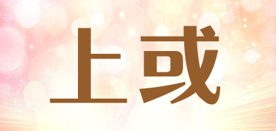 IRSUN是什么牌子_上或品牌怎么样?