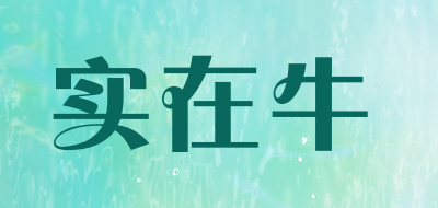 实在牛是什么牌子_实在牛品牌怎么样?