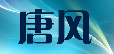 唐风是什么牌子_唐风品牌怎么样?