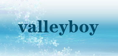 valleyboy是什么牌子_valleyboy品牌怎么样?