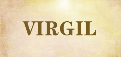 VIRGIL是什么牌子_VIRGIL品牌怎么样?