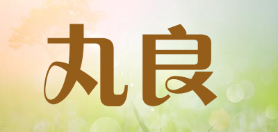 丸良是什么牌子_丸良品牌怎么样?