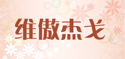 维傲杰戈是什么牌子_维傲杰戈品牌怎么样?